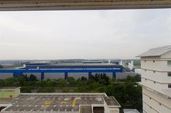 pasir-ris-street-72 photo thumbnail #5